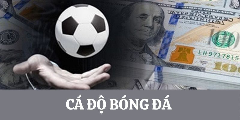 cá độ bóng đá