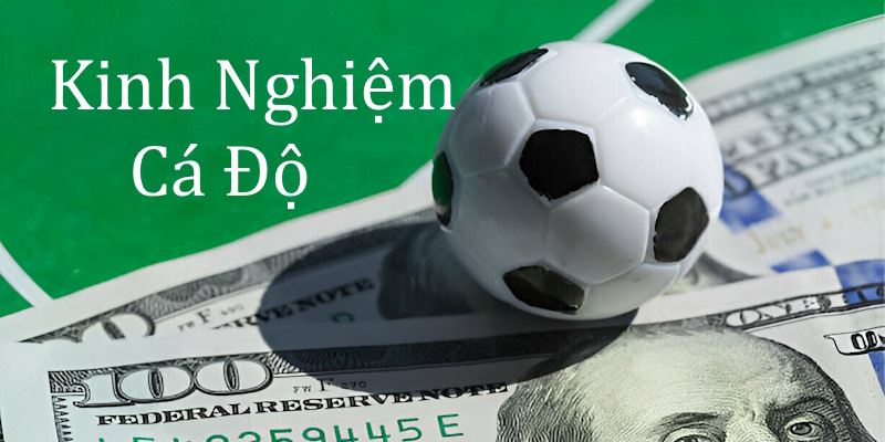 kinh nghiệm cá độ